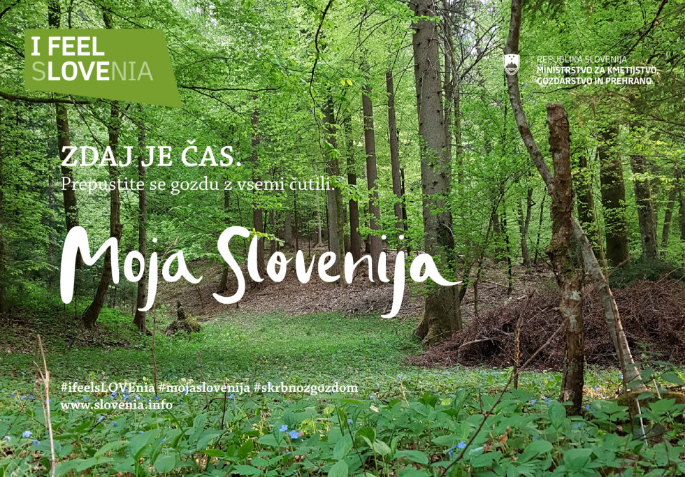 Promocijski oglas za akcijo Moja Slovenija - pokrajina z gozdom - s tekstom - povabilom v gozd