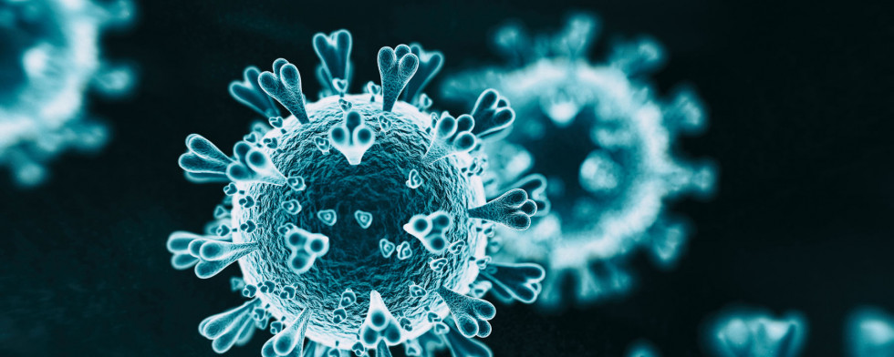 Slika virusa