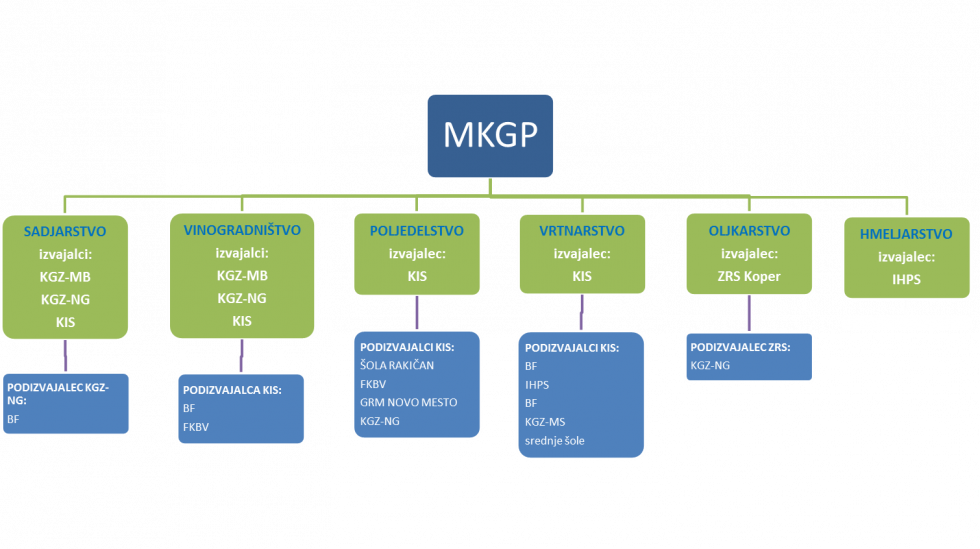 Barvni grafični prikaz podrobnejše shematske predstavitve izvajalcev in podizvajalcev javnih služb