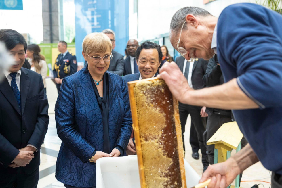 President Nataša Pirc Musar attended the 6th World Bee Day at FAO Headquarters in Rome