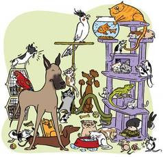 Različne vrste hišnih živali v sobi: psi, mački, ptiči, ribice, plazilci, glodavci, kunci