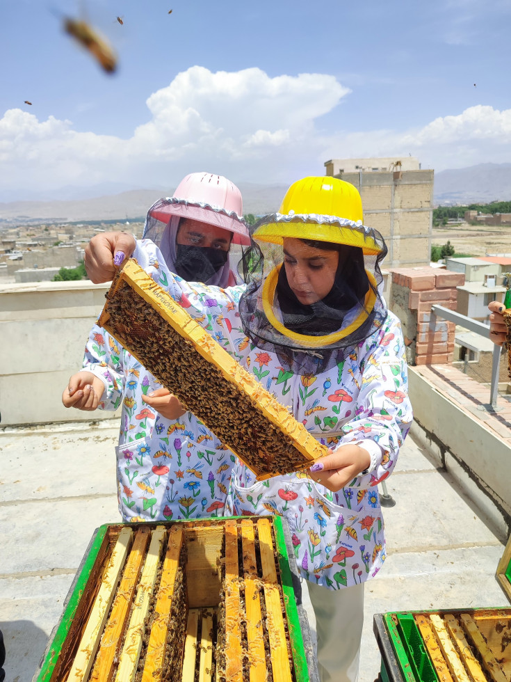 Two beekeepers 