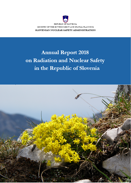 Front page of the report with the title and yellow flowers.