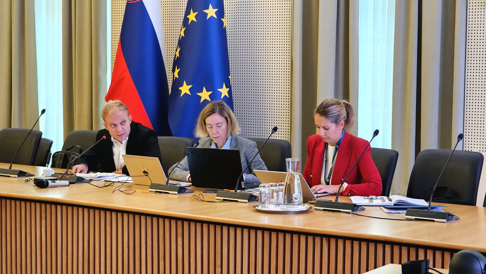 Delegacija Ministrstva za finance med sestankom z ESS