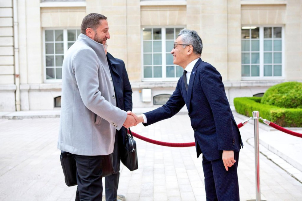 The Minister and the Deputy Secretary-General shaking hands on arrival at the meeting