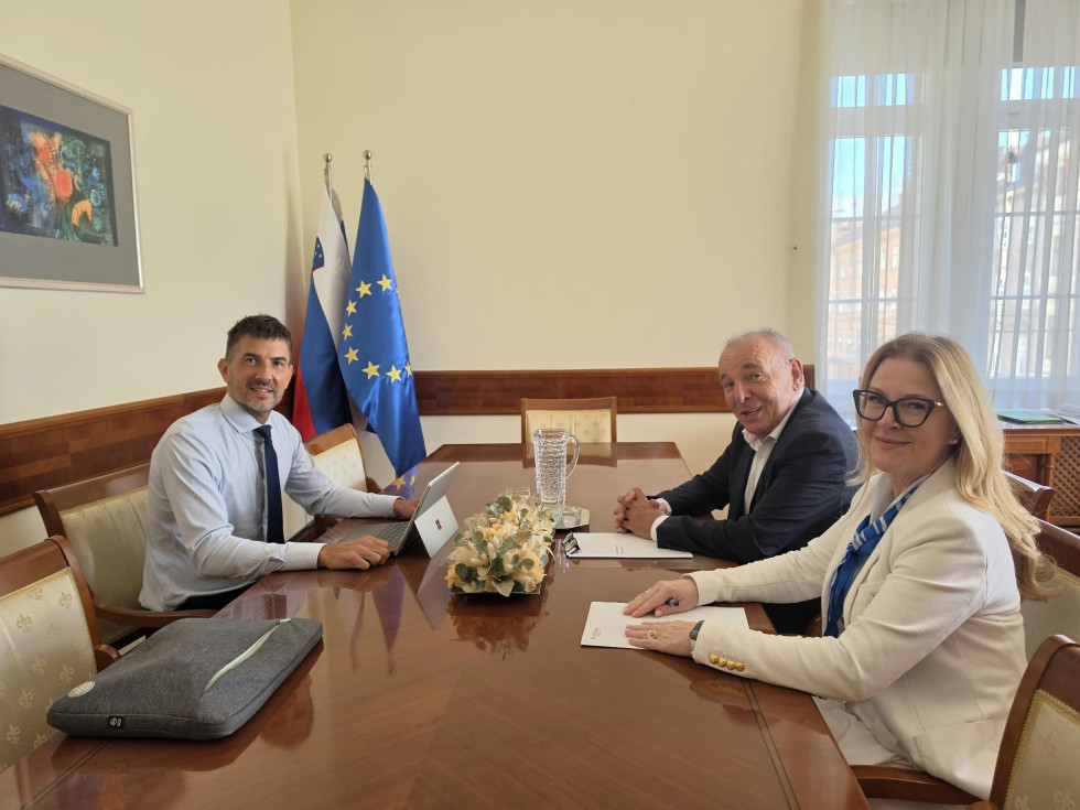 Udeleženci sestanka med sestankovanjem