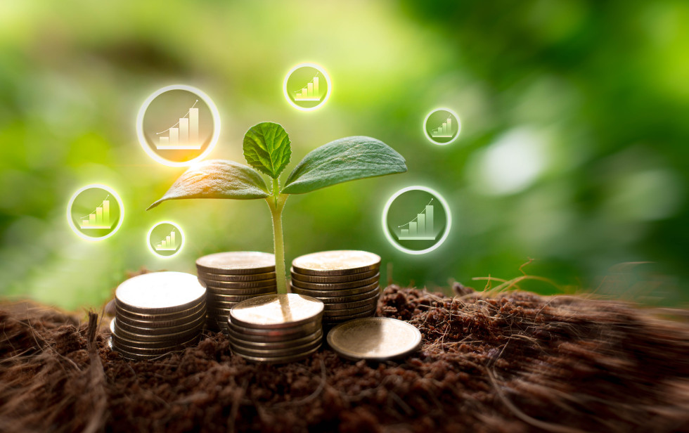 A plant grows out of piles of coins, behind it are animations of graphs.