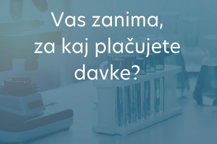 Novica z grafično predstavitvijo državnega proračuna za leto 2025