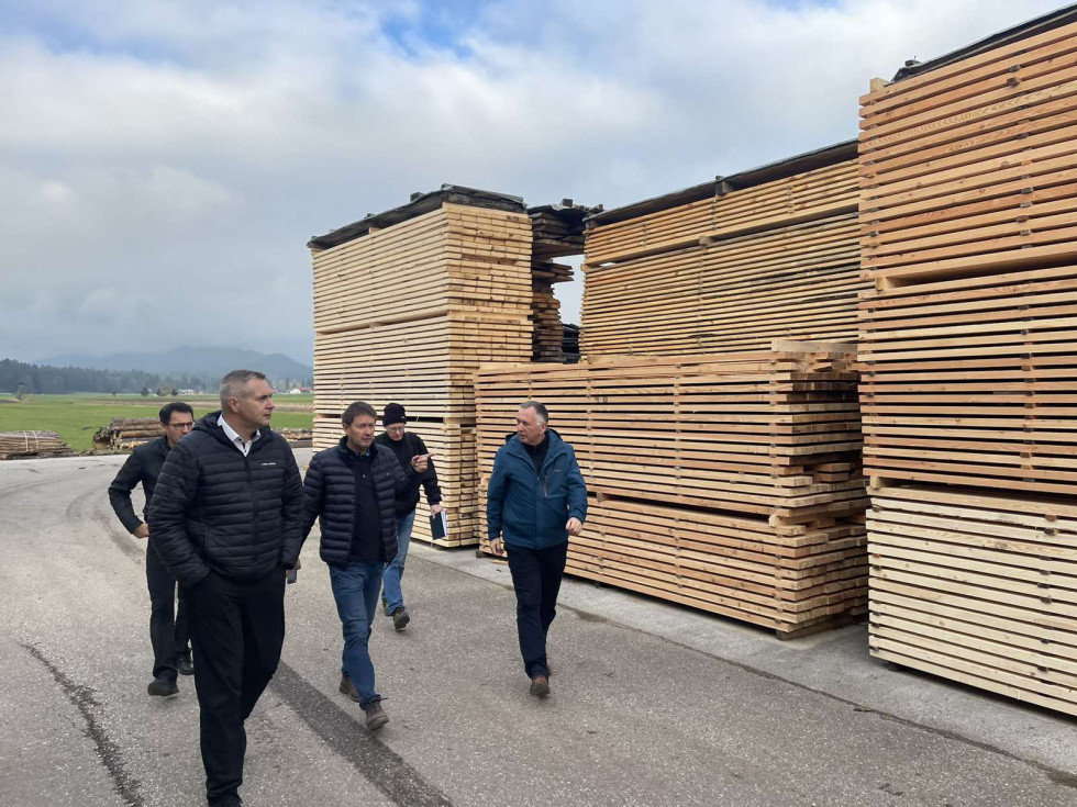 Državni sekretar Židan z delegacijo ob skladovnici lesa