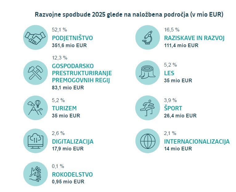 Pregled finančnih spodbud po področjih