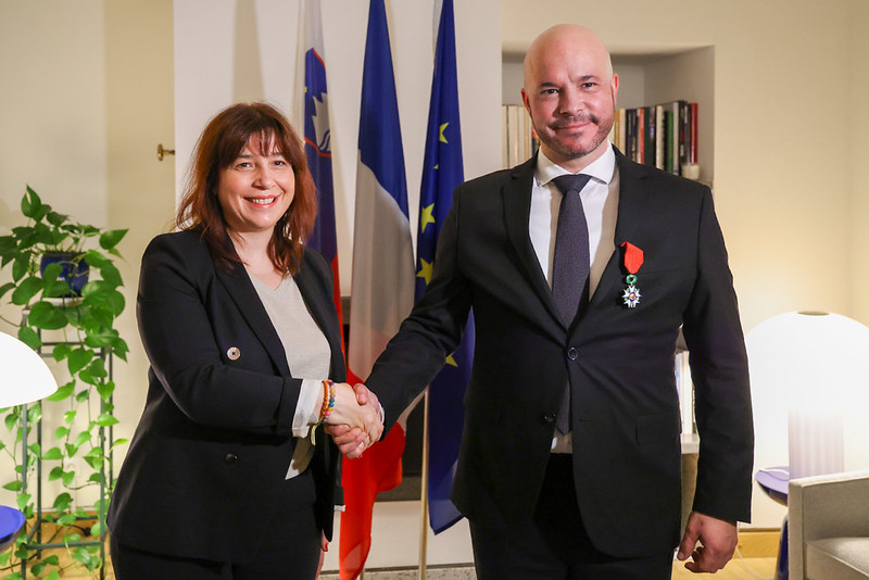 Ženska in moški se rokujeta. zadaj zastave.