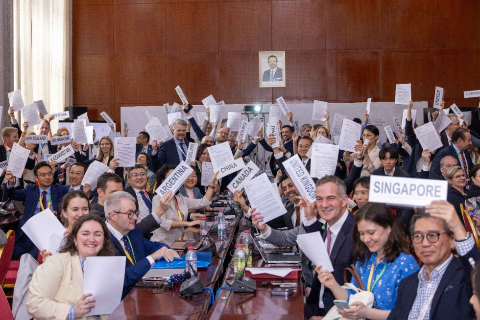 Odločitev o začasni uporabi plurilateralnega Sporazuma o elektronski trgovini (ECA)