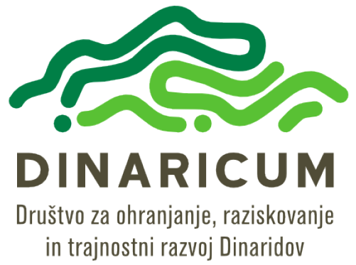Logotip društva Dinaricum