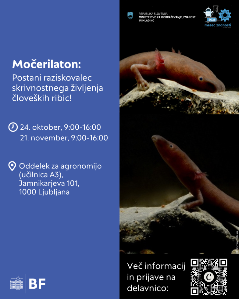 Plakat za dogodek Močerilaton