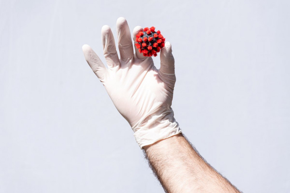 Človeška roka v rokavicah, ki drži maketo virusa