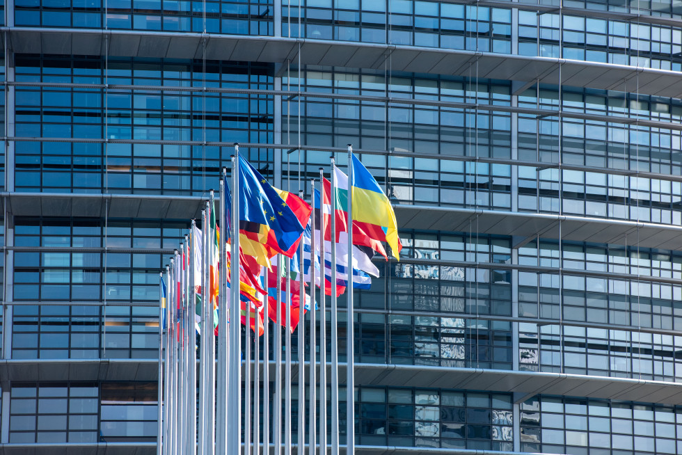 Pred stavbo Evropskega parlamenta je niz zastav držav članic