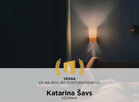 Vesna za najboljšo kostumografijo: Katarina Šavs (Vzornik)