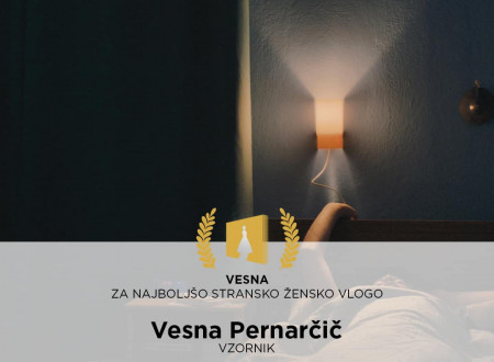 Vesna za najboljšo stransko žensko vlogo: Vesna Pernarčič (Vzornik)