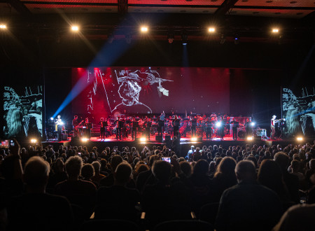 Simfonični in harmonikarski orkester na odru