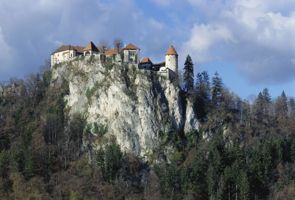 Pogled navzgor proti Blejskemu gradu