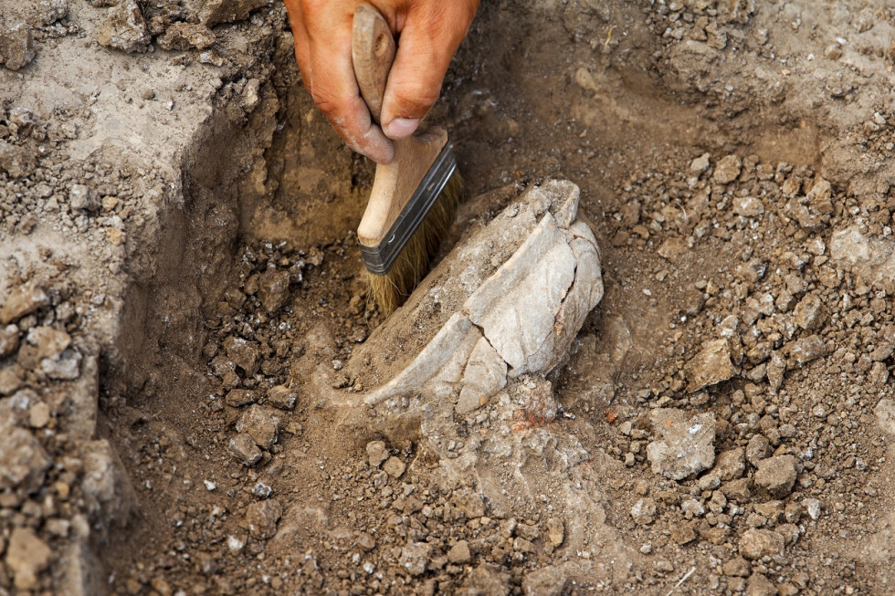 Oseba s čopičem skrbno umika čisti najdbo med arehološkim izkopavanjem