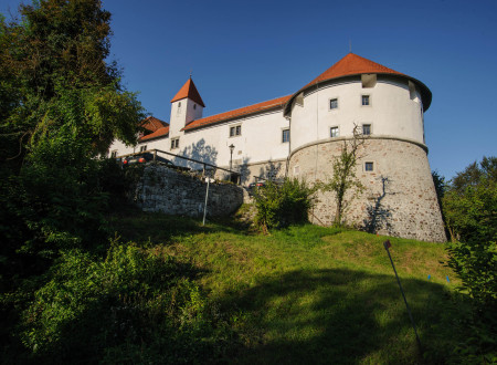 Pogled od spodaj na del gradu Turjak, ki je osončen. V ospredju senca gozdnih dreves.