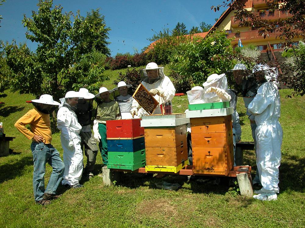 Beekeeping in Slovenia on the UNESCO Representative List of Intangible Cultural Heritage | GOV.SI