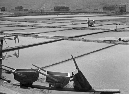 Južni predel Sečoveljskih solin Fontanigge leta 1954 