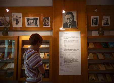 Ministrica za kulturo pred fotogafijo Miška Kranjca in osvetljenim besedilo na belem dolgem papirju, pritrjenim na steno pod fotografijo
