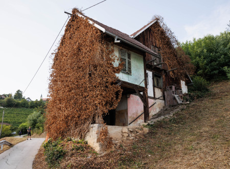 Propadajoča in zapuščena zidanica, fasada obrasla z rastlinjem