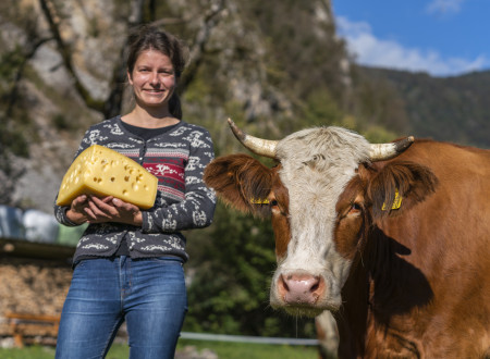 Ženska v rokah drži četrtino sirovega hlebca z luknjami, na njeni levi stoji krava, v ozadju hribi