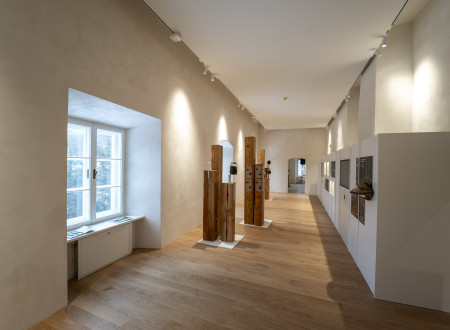 Svetel razstavni prostor z lesenimi razstavnimi stebri in razglagalnimi razstavnimi panoji na desni steni