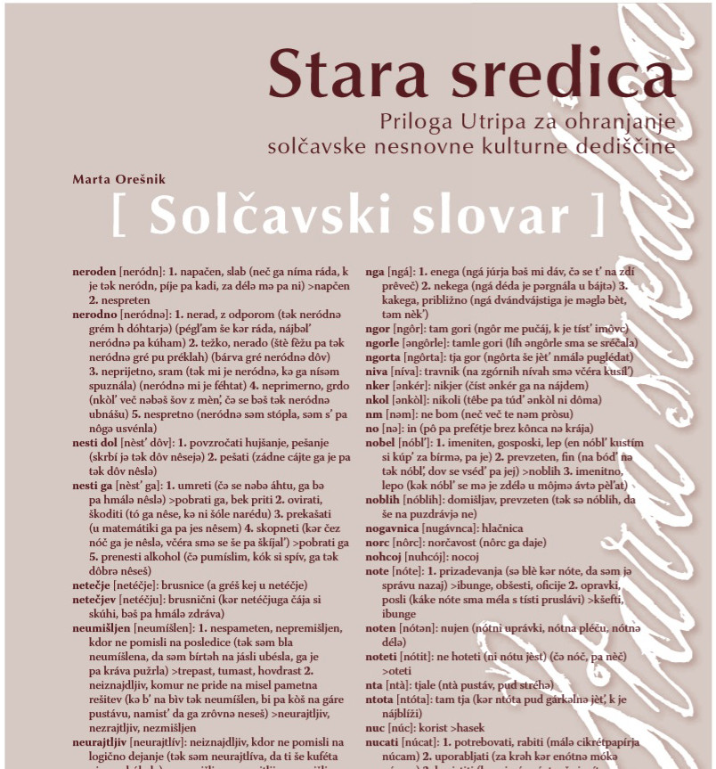 Solčavski slovar 