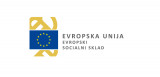 Logo Evropskega socialne skalda