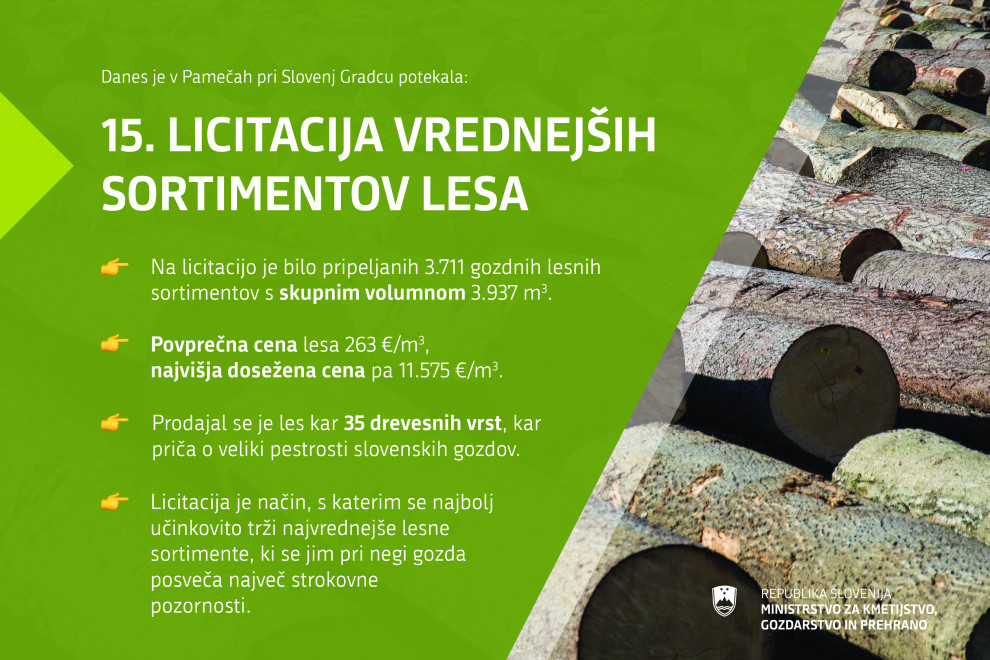 Tematska infografika