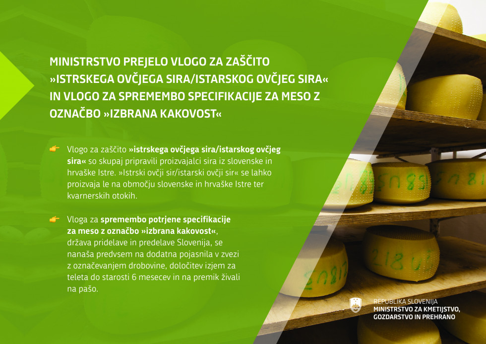 Tematska infografika