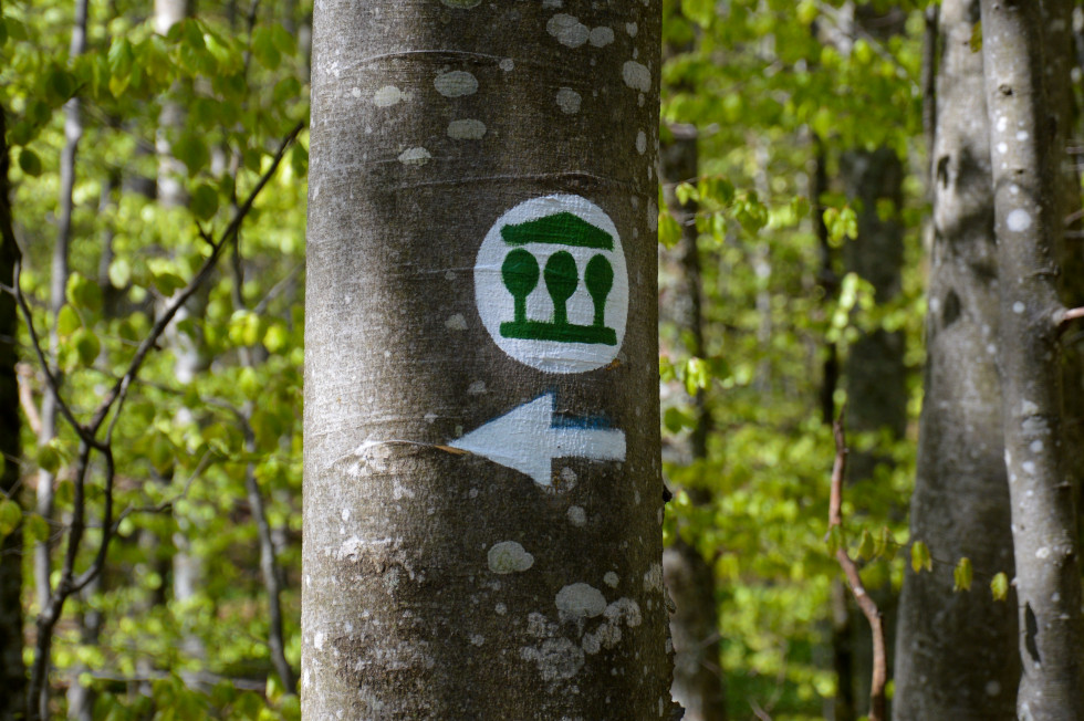 Forest path sign