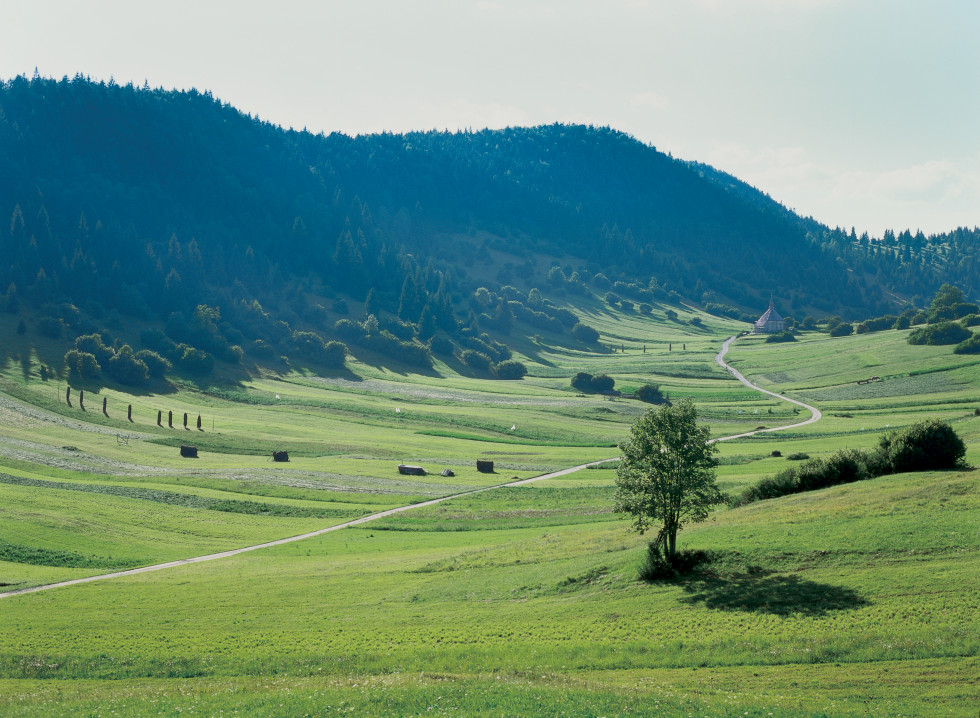 Ruralno okolje. Travnik, cesta, drevesa v ozadju okoliški hribi 