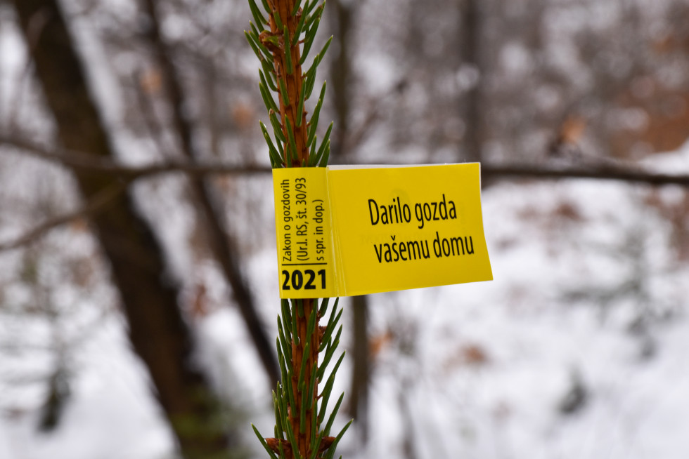 Oznaka na slovenski okrasni smrečici za leto 2021