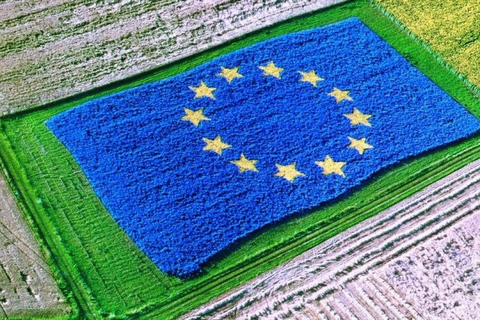 Polje, sredi katerega rastejo poljščine v obliki zastave Evropske unije