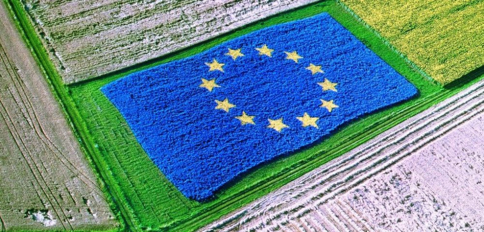 Polje, sredi katerega rastejo poljščine v obliki zastave Evropske unije