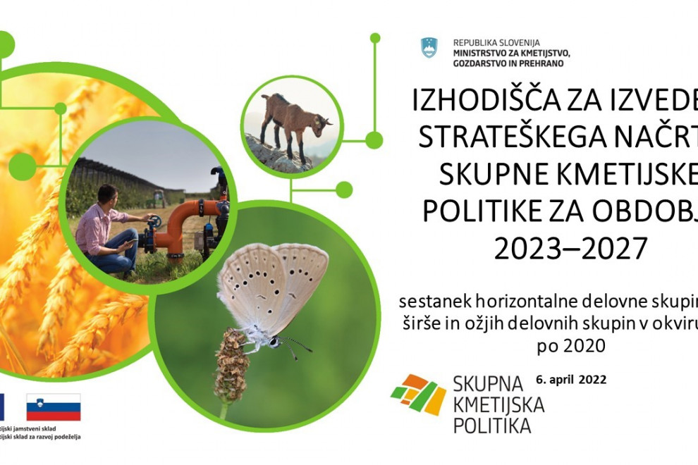 Tematska infografika