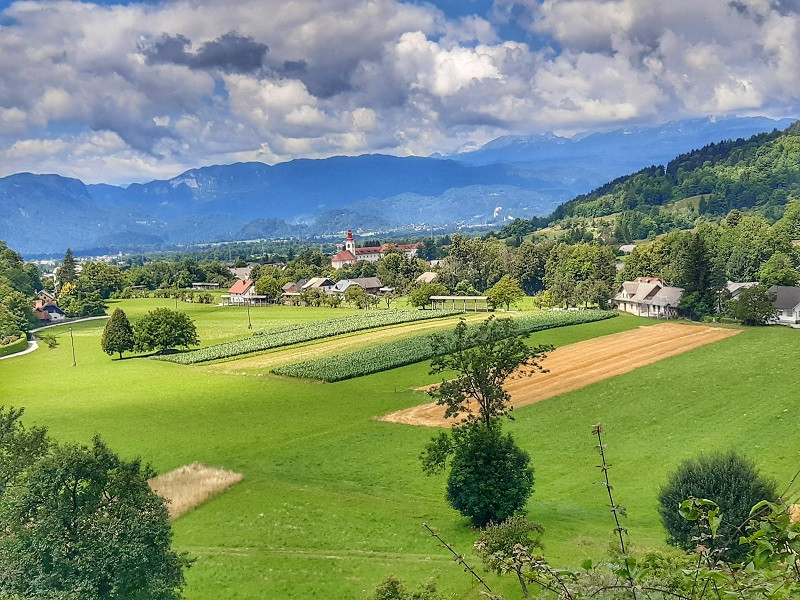 Pogled na kmetijska zemljišča ob robu gozdov. 