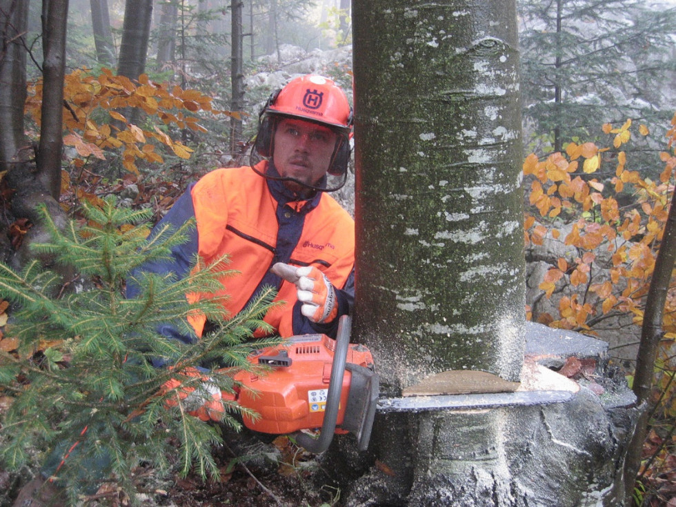 Varno delo v gozdu