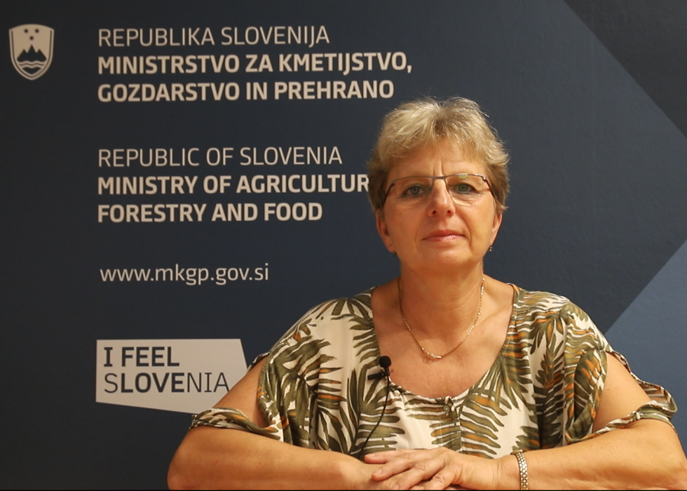 Ministrica Irena Šinko na avdio video dogodku  Slovensko Nizozemske poslovne platforme