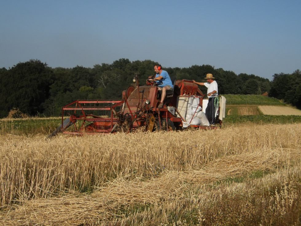 Dva kmeta sedita na stroju in delata na polju.  