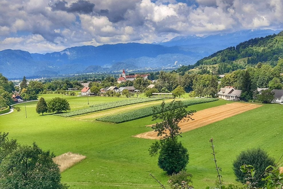 Kmetijska pokrajina