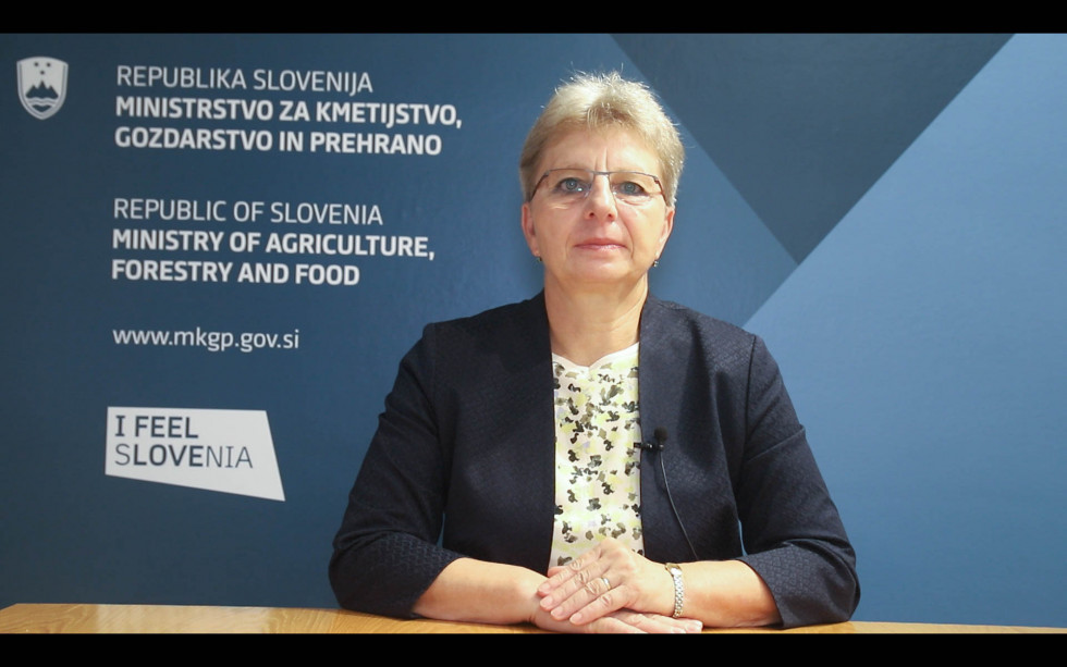Ministrica Irena Šinko sedi na stolu in govori 