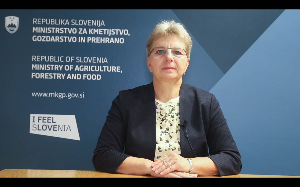 Ministrica Irena Šinko sedi na stolu in govori