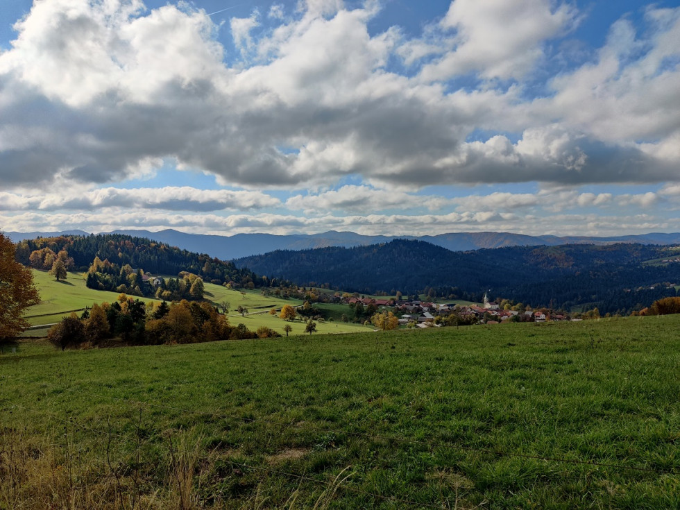 Obdelani pašniki nad Velikimi Poljanami, Ribnica